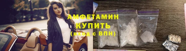 шишки Армянск