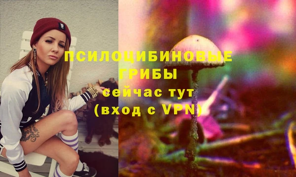 a pvp Алексин