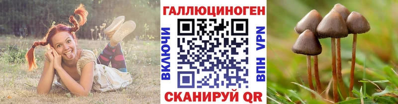Галлюциногенные грибы Magic Shrooms  blacksprut сайт  Кола 
